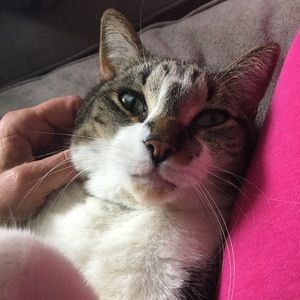 Meet your Posher, Julie